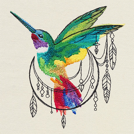 Bohemian Hummingbird