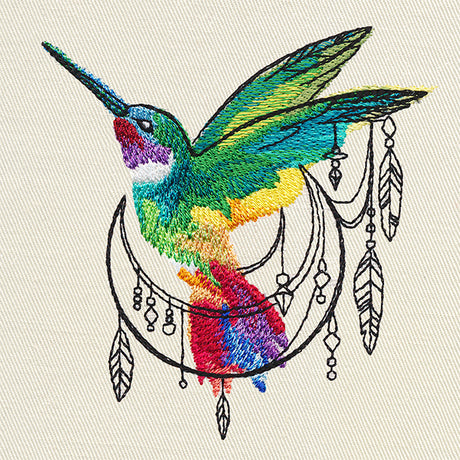 Bohemian Hummingbird