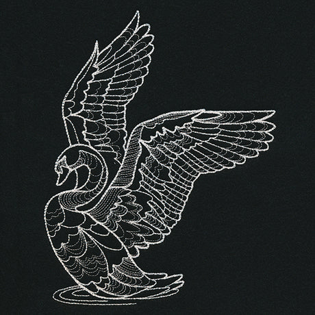 Delicate Swan