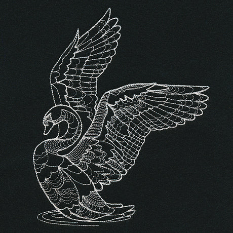 Delicate Swan