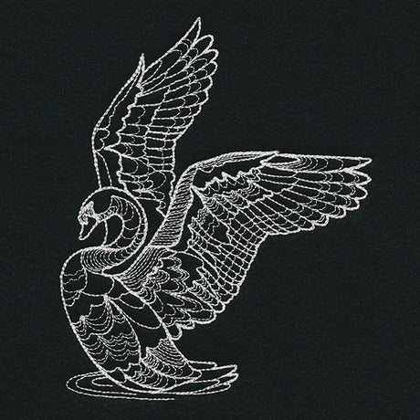 Delicate Swan