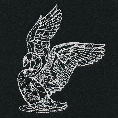 Delicate Swan