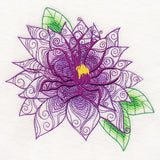 Woodland Magic - Clematis Andromeda