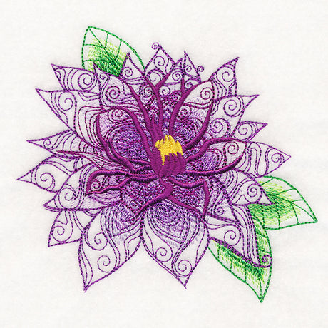 Woodland Magic - Clematis Andromeda