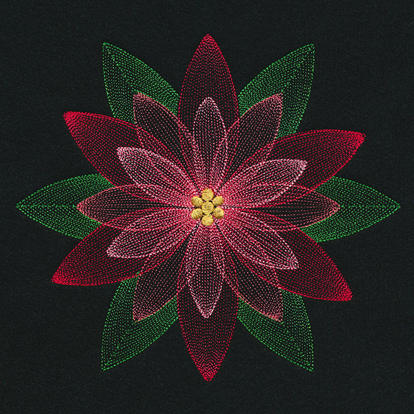 Mirage Poinsettia