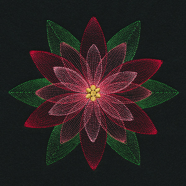 Mirage Poinsettia