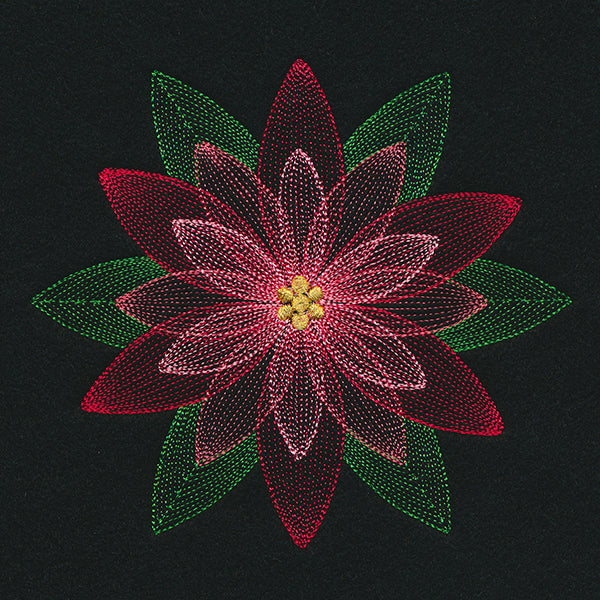 Mirage Poinsettia