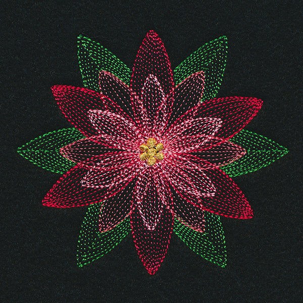 Mirage Poinsettia