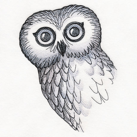 O Hai Owl