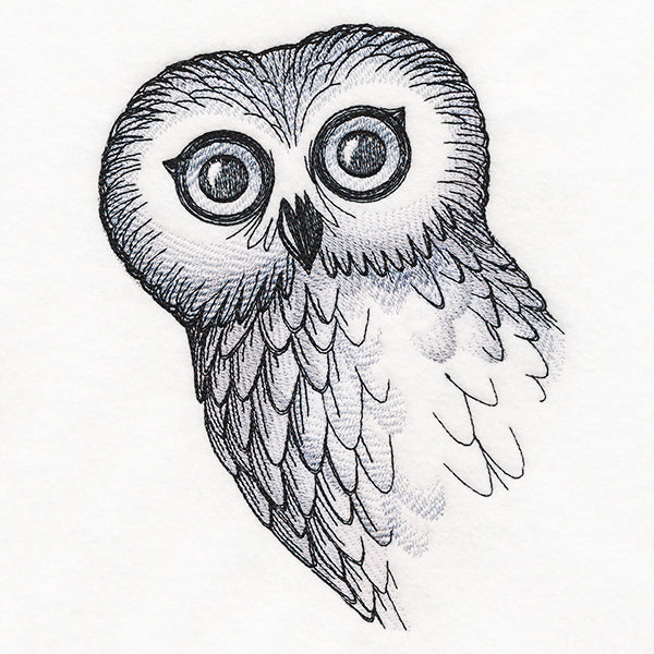 O Hai Owl