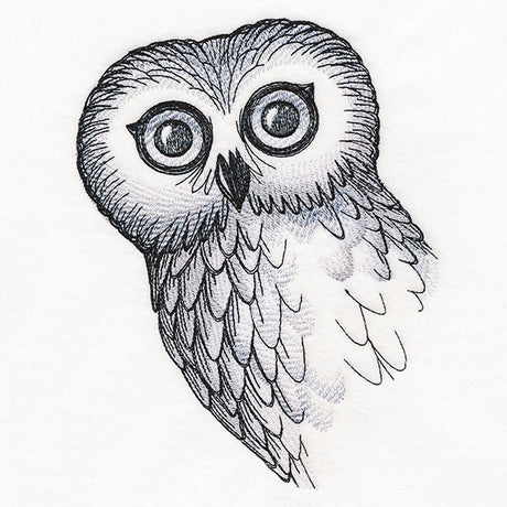 O Hai Owl