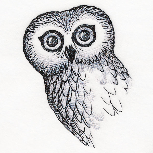 O Hai Owl