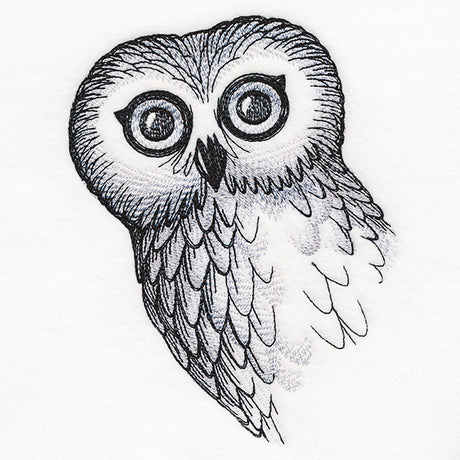 O Hai Owl