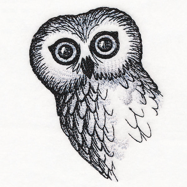 O Hai Owl