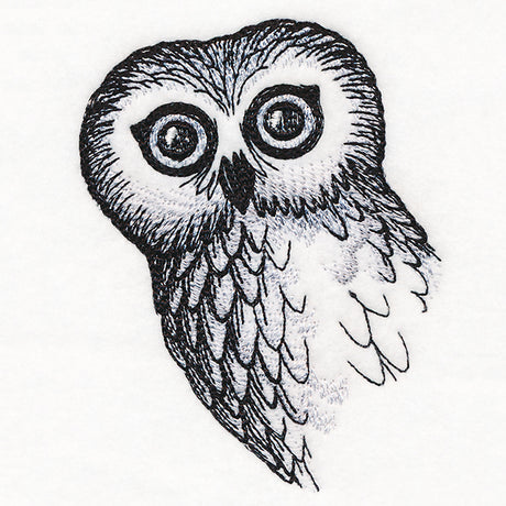 O Hai Owl