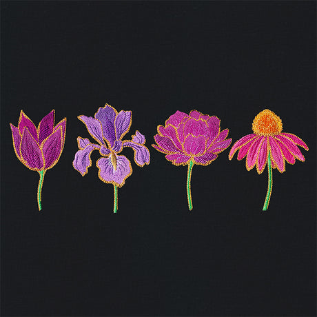 Lavish Lovelies Border