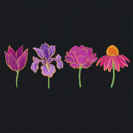 Lavish Lovelies Border