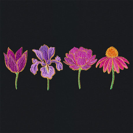 Lavish Lovelies Border