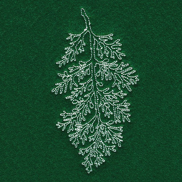 Festive Boughs - Pine