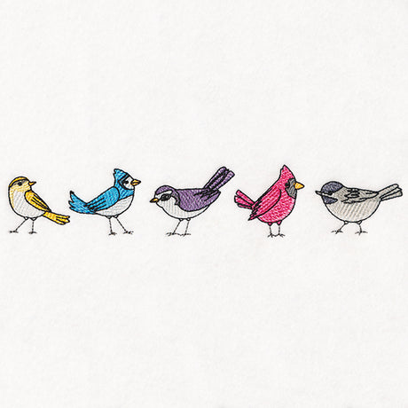 Winter Birds Border
