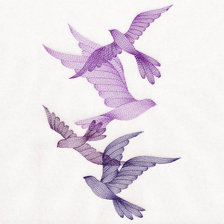 Feathered Curiosity Birds Collage