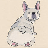 Rearview Frenchie