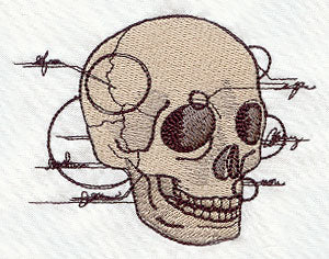 Anatomical Skull