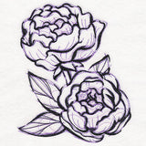 Sketchwork Peonies