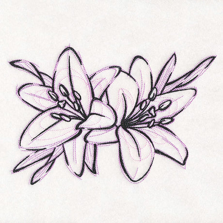 Sketchwork Tiger Lilies