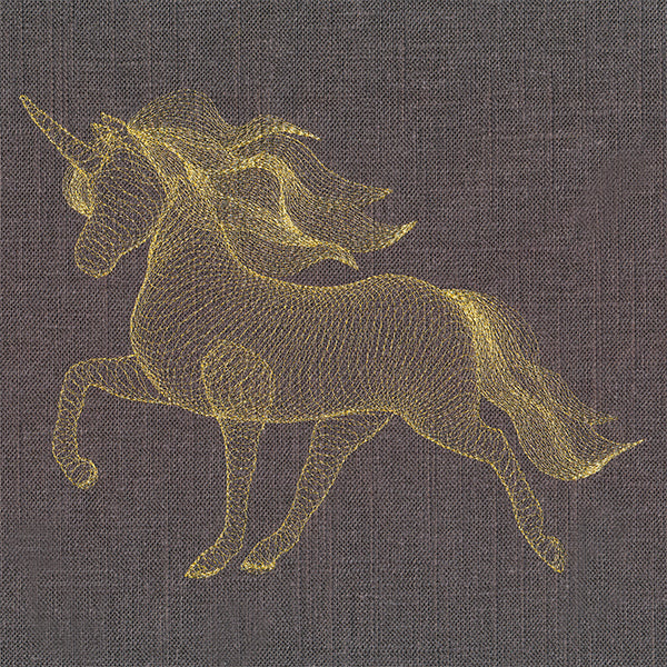 Dimensional Unicorn