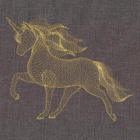 Dimensional Unicorn