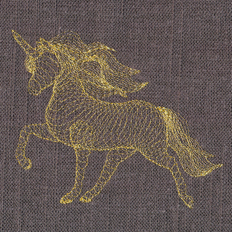 Dimensional Unicorn