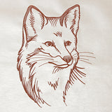 Friendly Fox