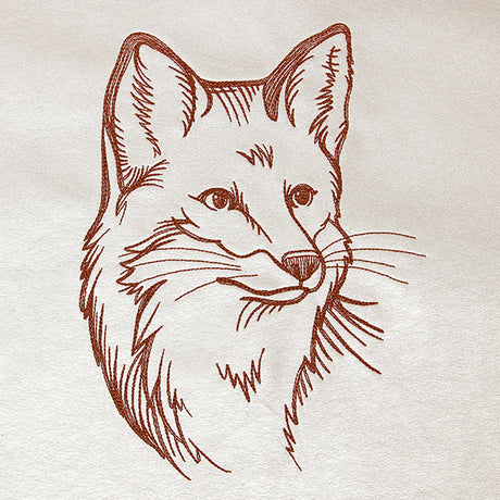 Friendly Fox