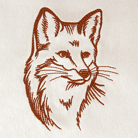 Friendly Fox