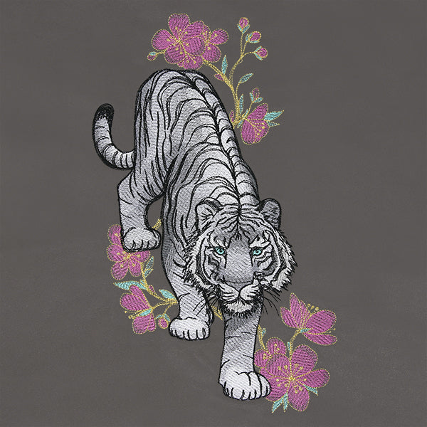 Tiger in Cherry Blossoms