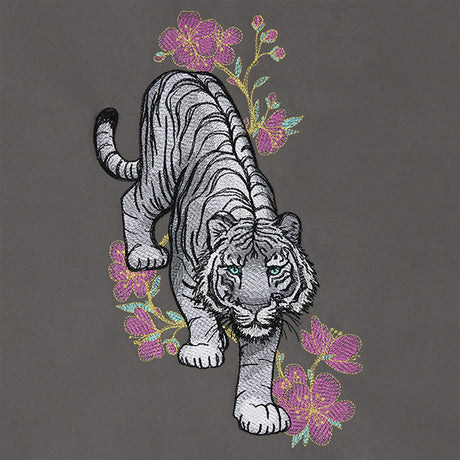 Tiger in Cherry Blossoms