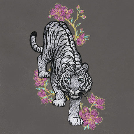 Tiger in Cherry Blossoms