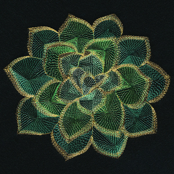 Mirage Succulent