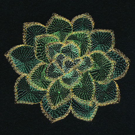 Mirage Succulent