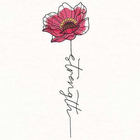 Strength Poppy in Bloom