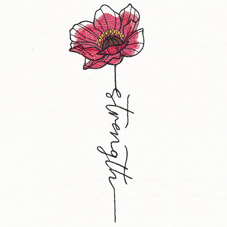 Strength Poppy in Bloom