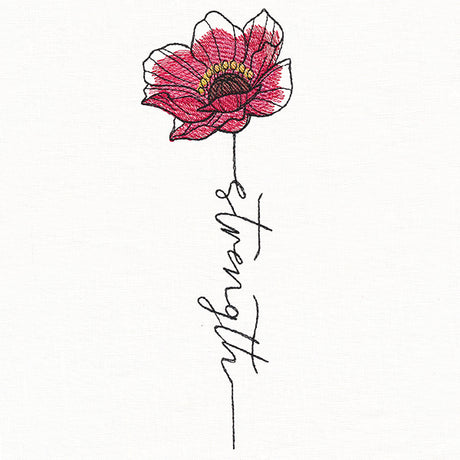Strength Poppy in Bloom