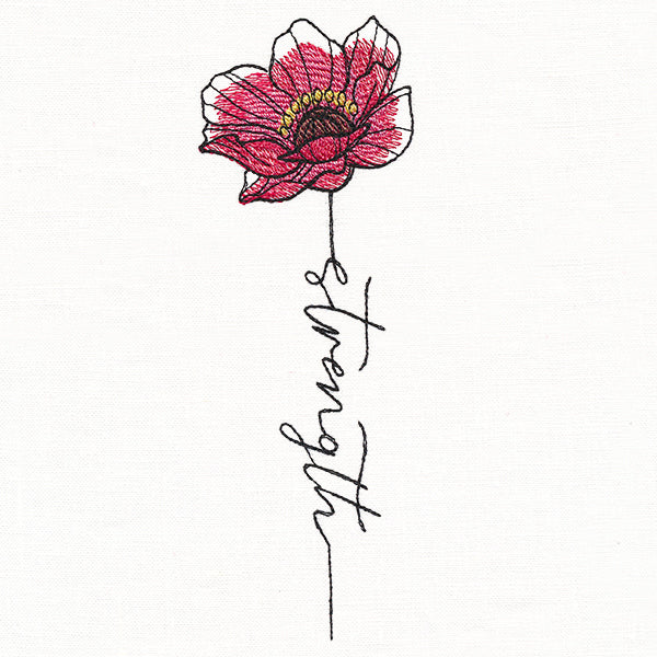 Strength Poppy in Bloom