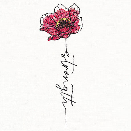 Strength Poppy in Bloom