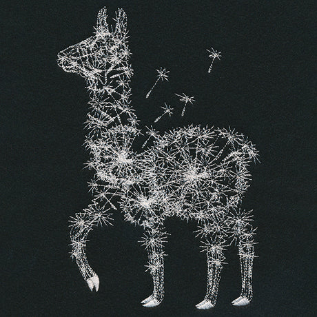 Dande-llama
