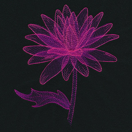 Translucent Bloom