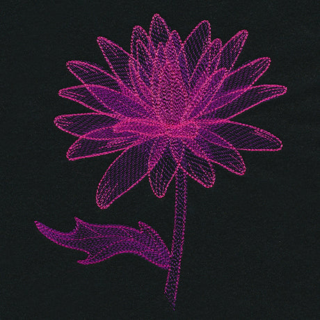 Translucent Bloom