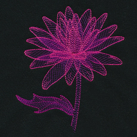 Translucent Bloom