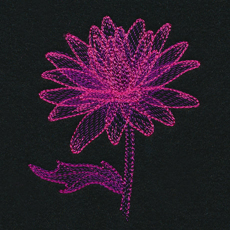 Translucent Bloom